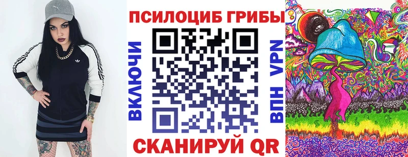 Псилоцибиновые грибы GOLDEN TEACHER  Новоалександровск 