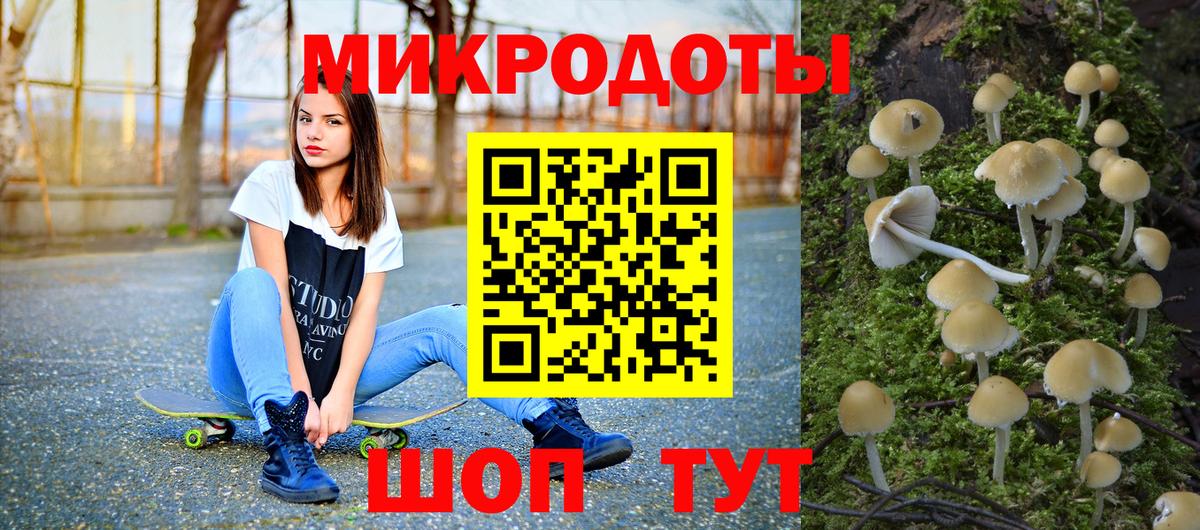 Галлюциногенные грибы мухоморы Новоалександровск