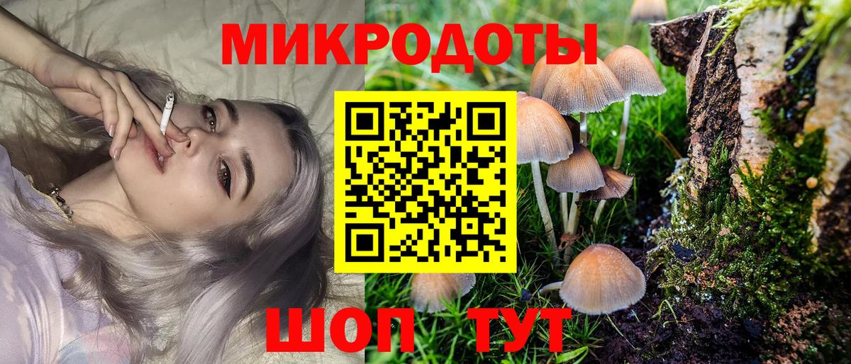 Псилоцибиновые грибы Cubensis  Вход с VPN  Новоалександровск 
