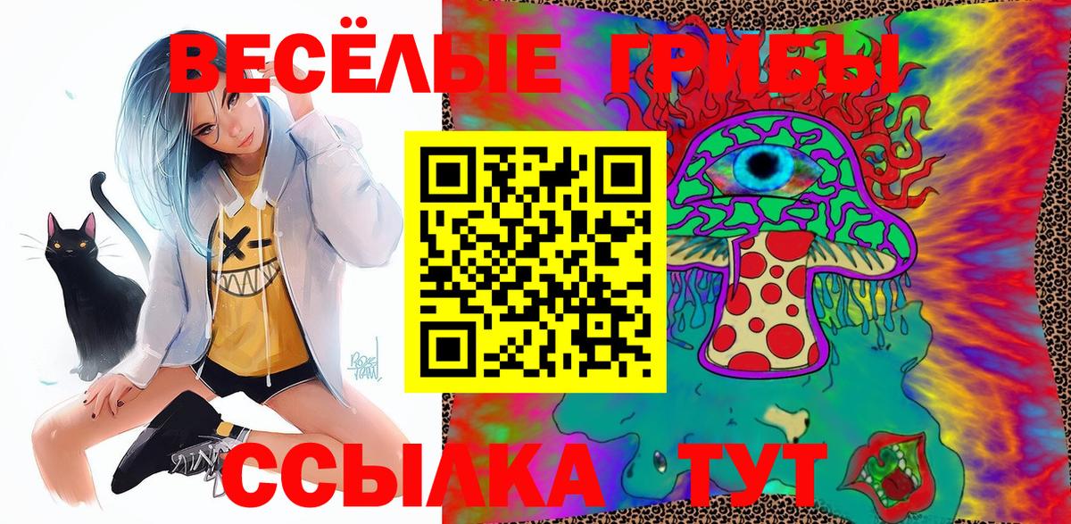 Псилоцибиновые грибы Psilocybine cubensis  где можно купить   Новоалександровск 