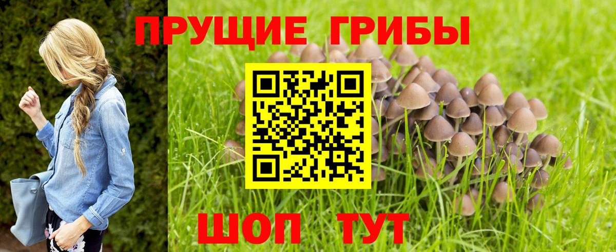 ГАШ  APVP СК кристаллы  Новоалександровск  МЕФ   Вход с VPN  Кокаин  Бошки Шишки 