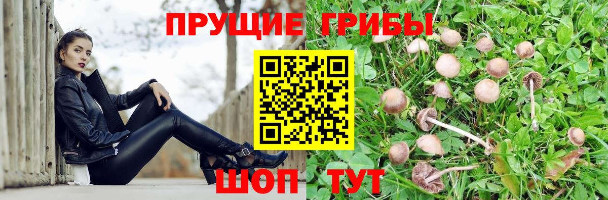 Галлюциногенные грибы мицелий Новоалександровск